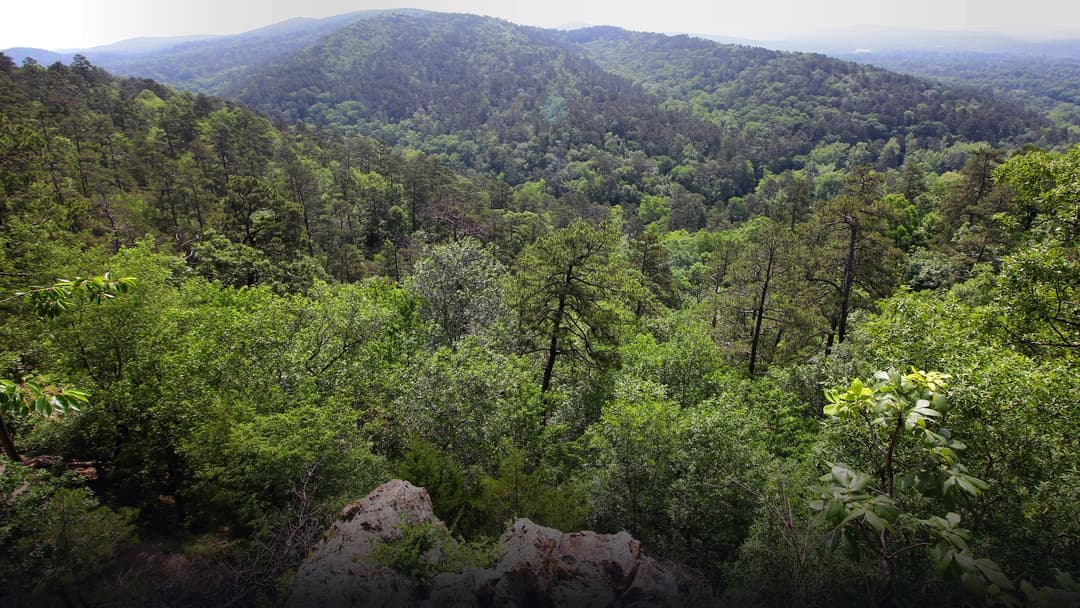 Panoramic scenic overlook from the Goat Rock rock ledge across the rolling, lush green forested ridges and mountain valleys of Hot Springs National Park.
