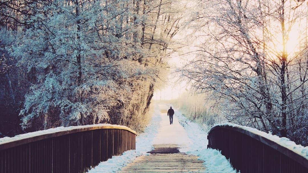 5. Prioritize Winter Daylight And Time In Nature