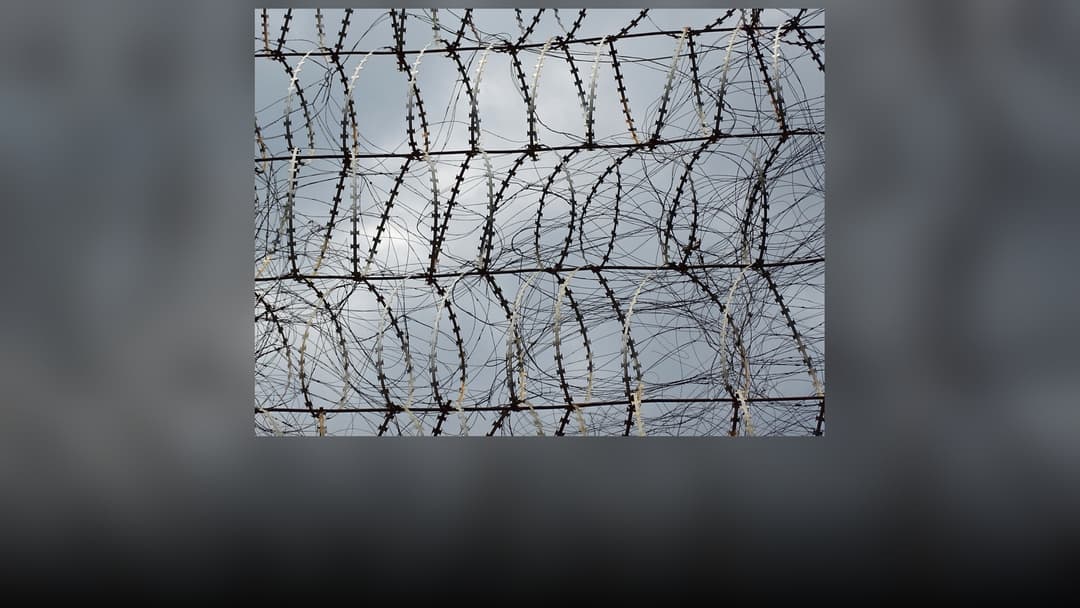 Coiled razor wire atop a high-security prison perimeter wall.