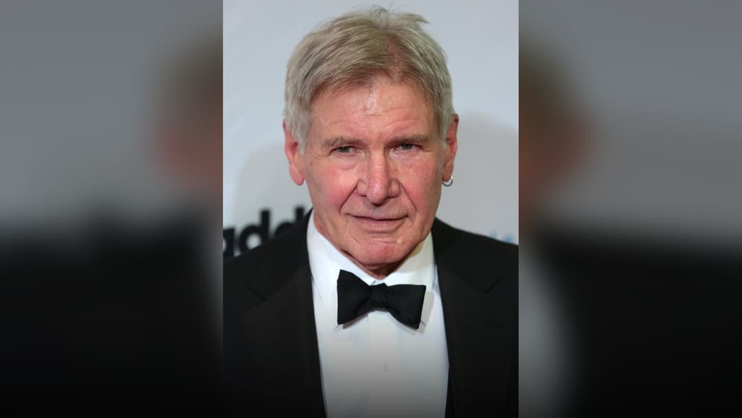 Harrison Ford posing for an official portrait.
