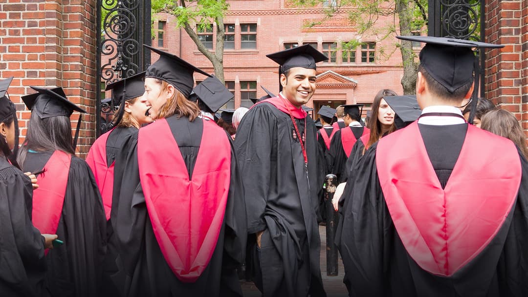 Harvard University graduates seated in Harvard Yard during a university commencement ceremony.