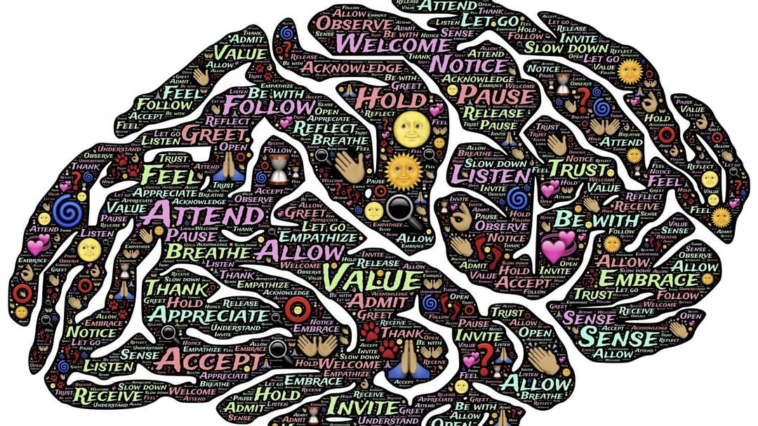 3. Meditation -- The Practice That Literally Thickens Your Cortex