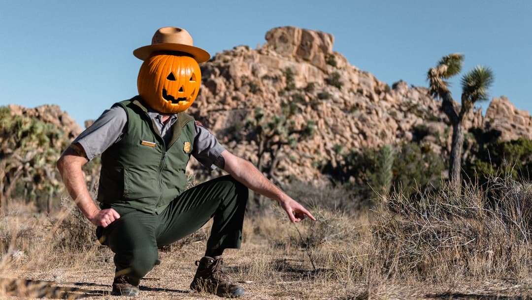 12. The National Park Ranger Tribute