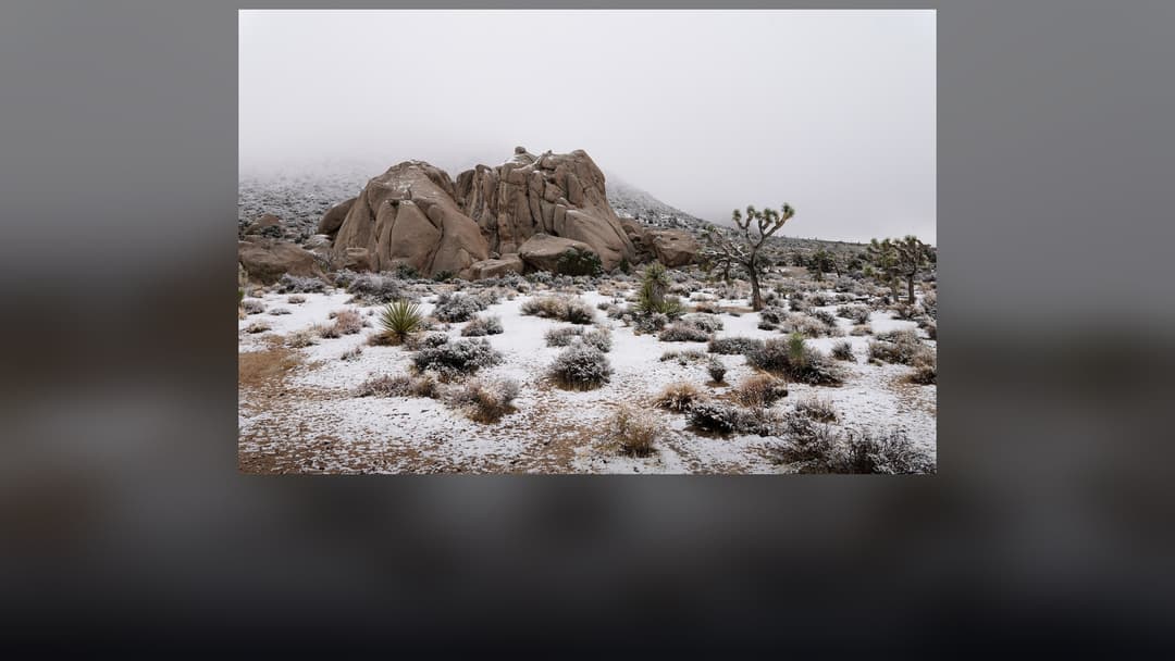 Panoramic landscape vista of Joshua Tree National Park showing natural geological formations, terrain, and wilderness.
