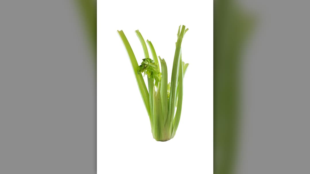 10. Celery