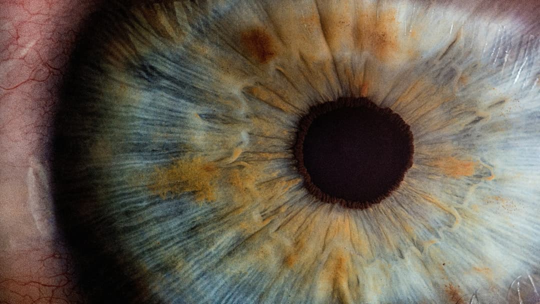 5. Blue Eyes And The Single Ancestor Mutation
