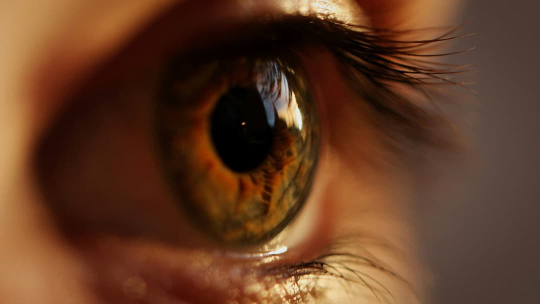 1. Brown Eyes And Ancient Genetics