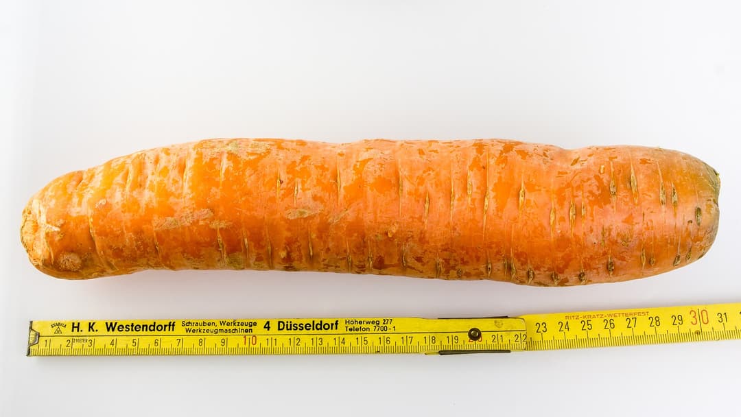 5. Giant Carrot (22.44 Pounds)