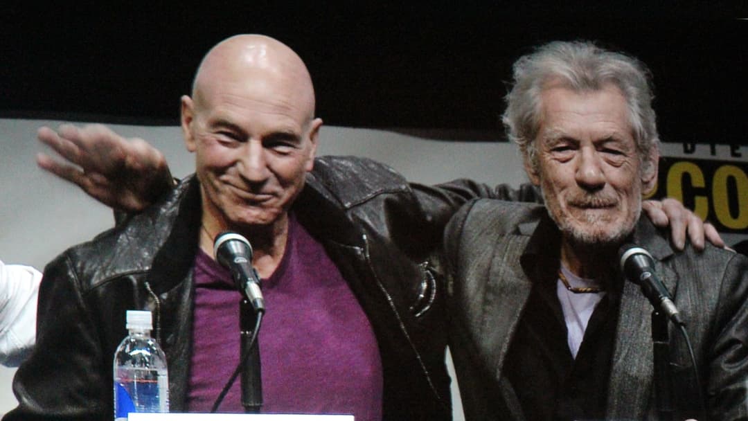 3. A Final Screen Reunion With Sir Ian McKellen