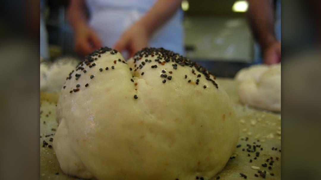 Mound of tiny blue-black poppy seeds