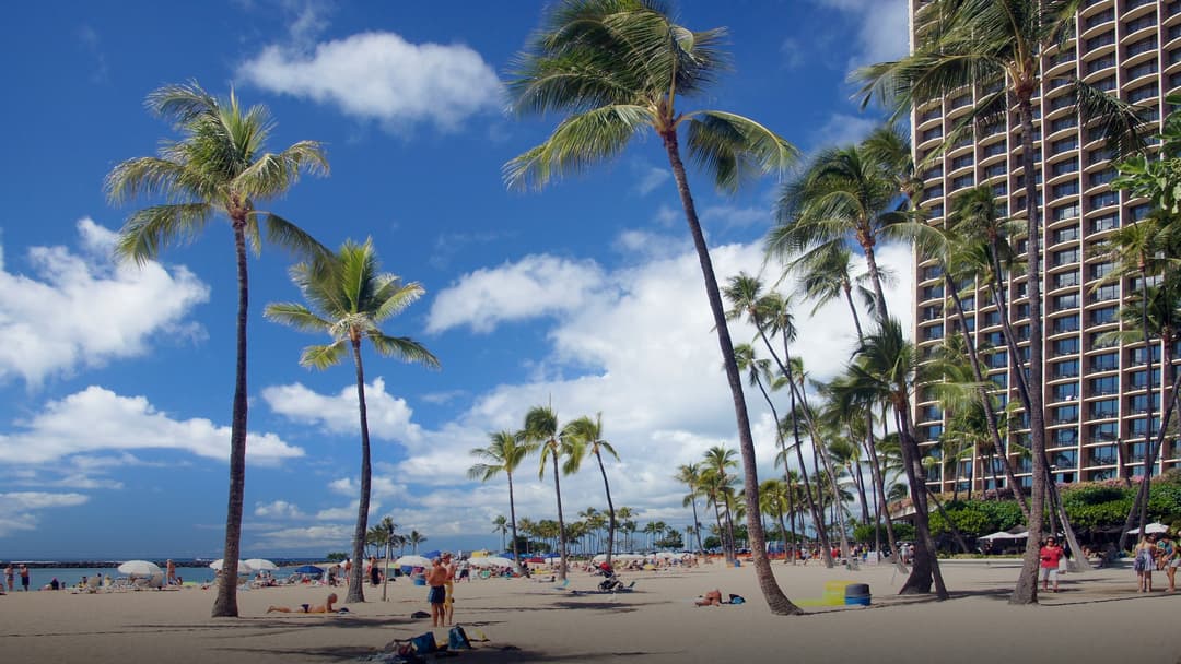 Sunny tropical daytime view of Waikiki Beach in Hawaii with tall coconut palms sunbathers on golden sand and turquoise ocean.