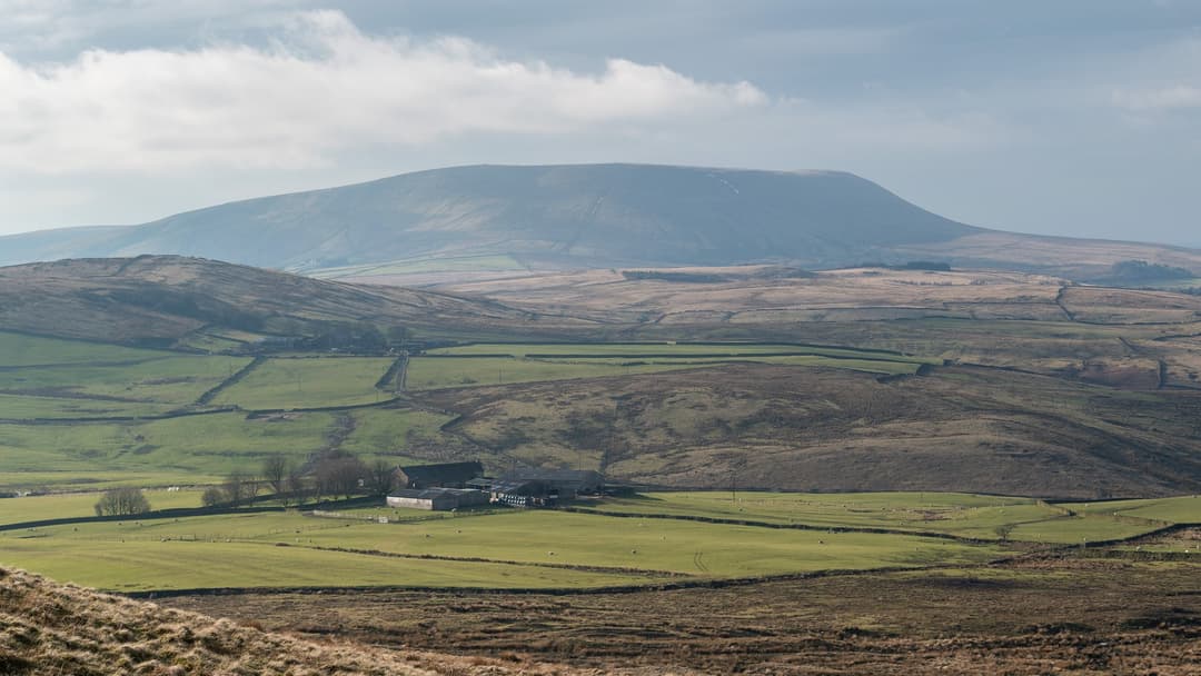 Rolling green moorland vista of Pendle Hill under open sky