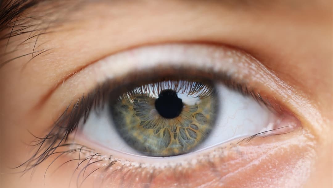 Detailed close-up portrait of a healthy human eye in natural daylight.