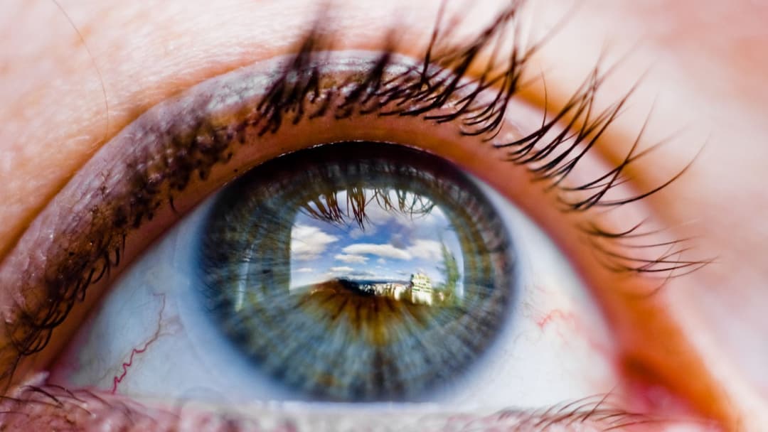 Macro portrait showing the iris, pupil, and surrounding field of view of a human eye.