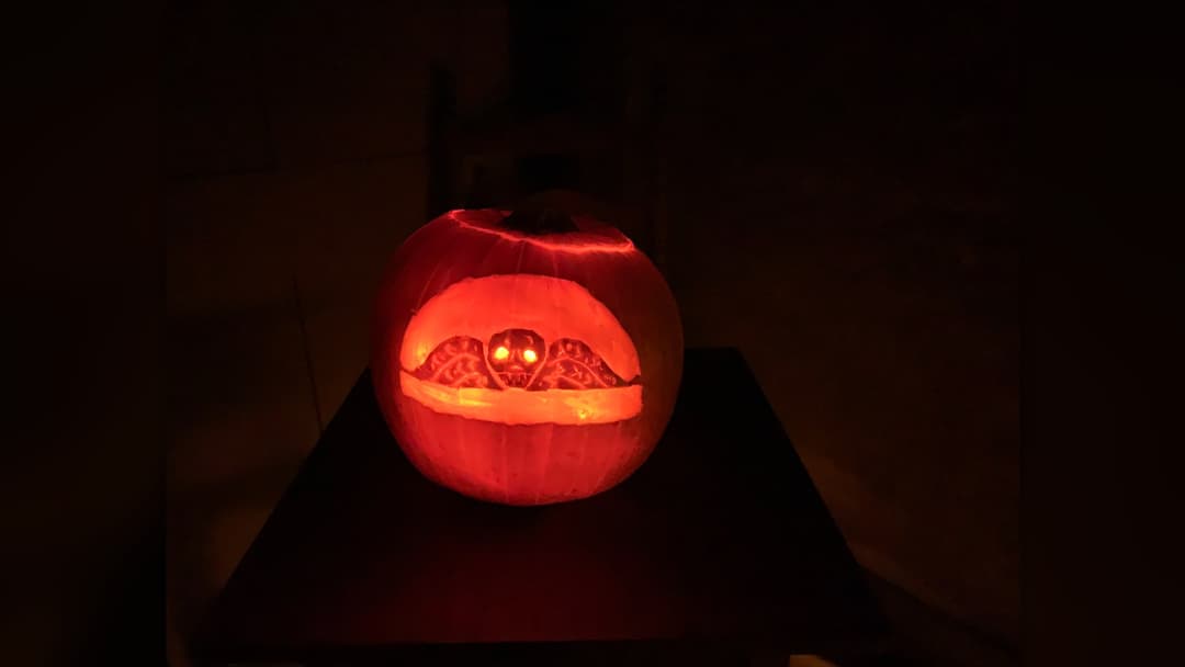 13. The Anatomical Death's Head Skull