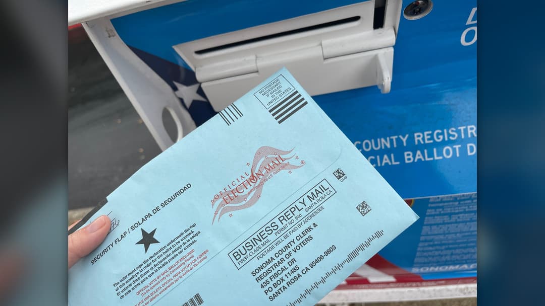 10. Ballot Measures And State Referendums