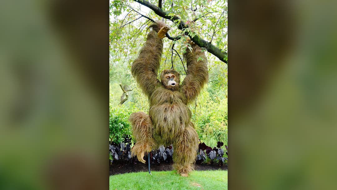 5. Pendulum Canopy Locomotion