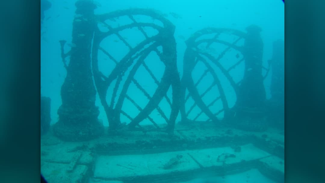 18. Neptune Memorial Reef, Key Biscayne (USA)