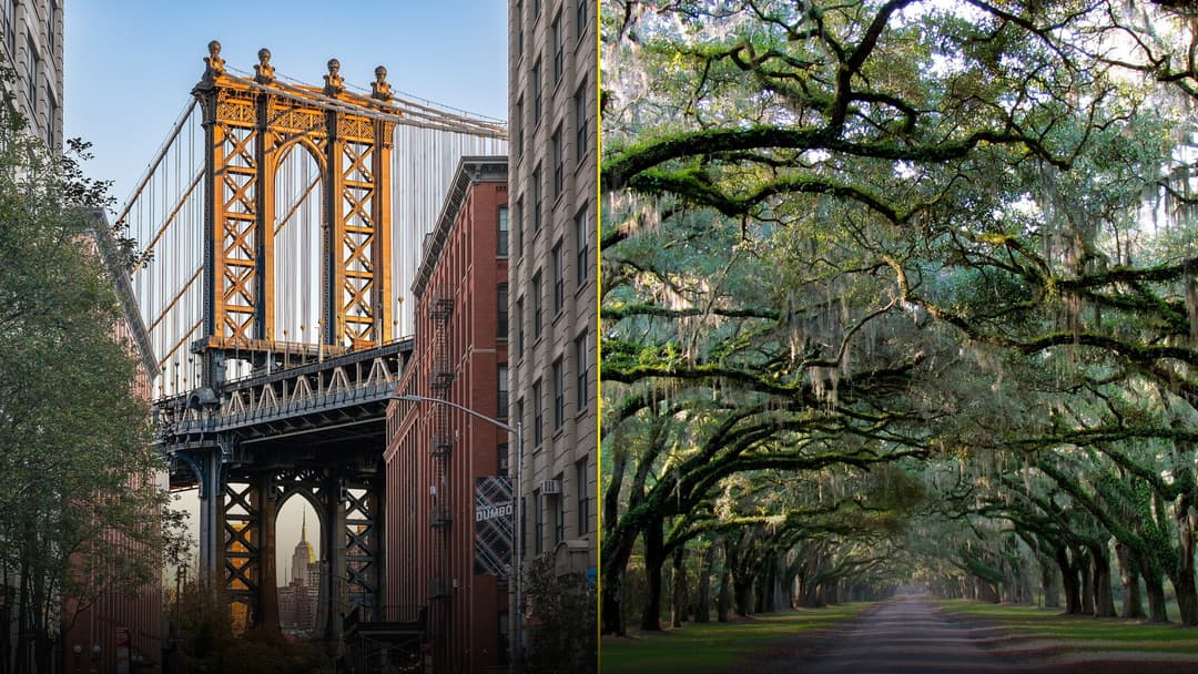 Split cover showing DUMBO cobblestone street and Manhattan Bridge on left and Savannah Spanish moss live oaks on right.