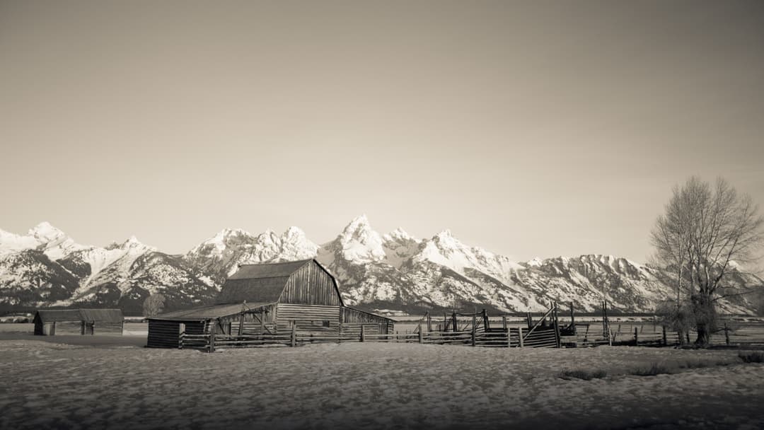 The historic wooden T.A. Moulton Barn in Grand Teton National Park under fresh falling snow.