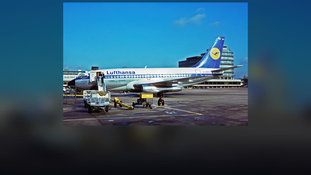 Lufthansa Boeing 737 passenger airliner in classic yellow and blue crane livery on the tarmac.