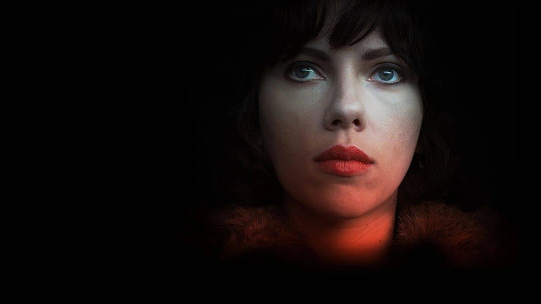 5. Under The Skin (2013)