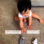 Cute Baby Choosing His Own Outfit || WooGlobe