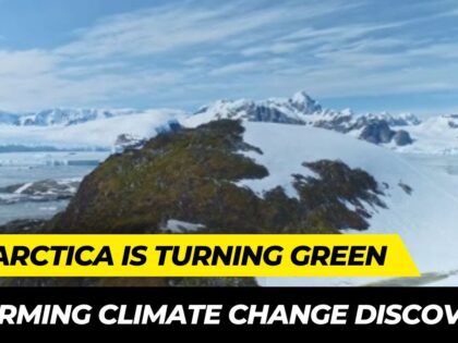 Antarcticas-Shocking-Transformation-Green-at-an-Alarming-Rate-Most.jpg