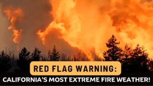 California-Wildfire-Updates-Santa-Ana-Winds-Fuel-Chaos-Most.jpg