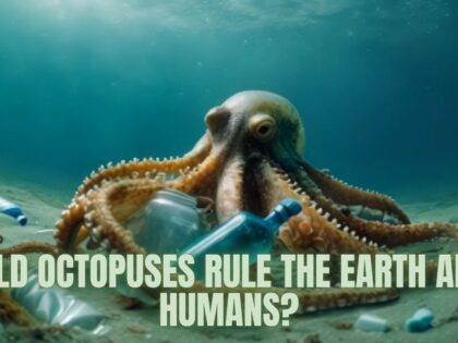 Could-Octopuses-Inherit-the-Earth-After-Humanitys-Fall-Most.jpg