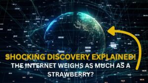 The-Internet-Weighs-as-Much-as-a-Strawberry-Shocking-Discovery.jpg