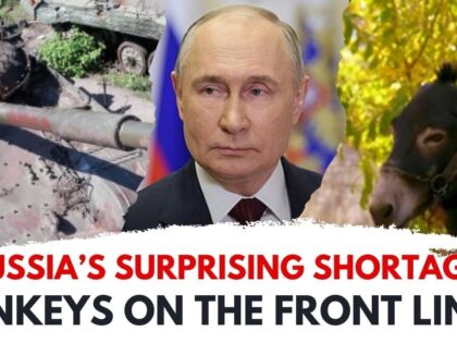 Russias-Military-Crisis-Donkeys-Replace-Tanks-on-the-Front-Line.jpg